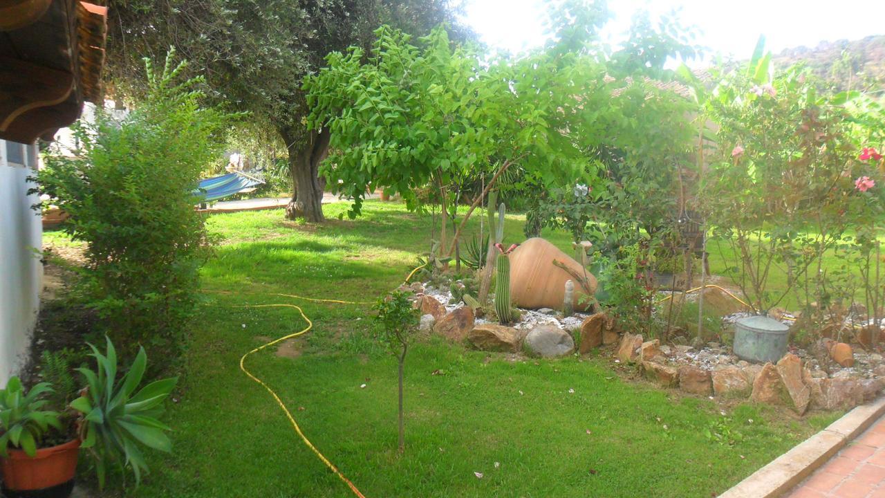 קאפו ואטיצ'אנו Agriturismo Heaven מראה חיצוני תמונה