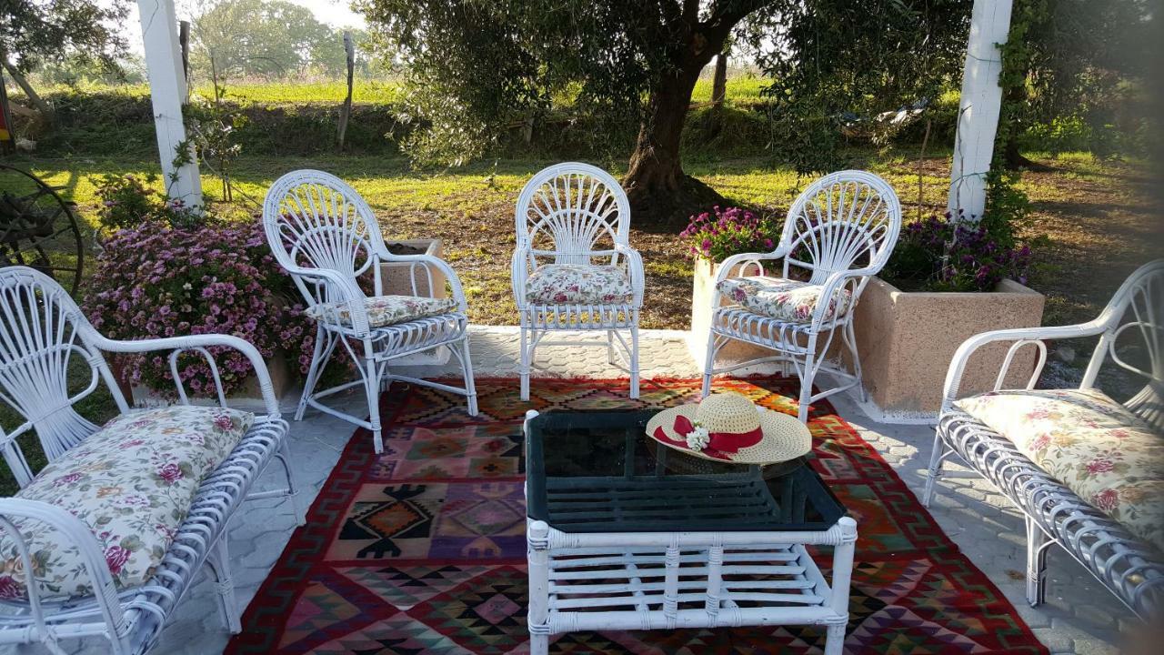 קאפו ואטיצ'אנו Agriturismo Heaven מראה חיצוני תמונה
