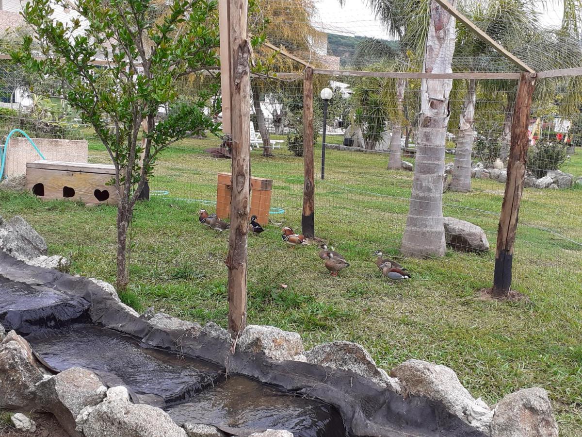 קאפו ואטיצ'אנו Agriturismo Heaven מראה חיצוני תמונה