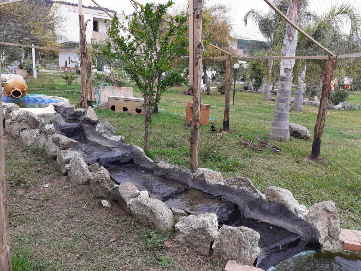קאפו ואטיצ'אנו Agriturismo Heaven מראה חיצוני תמונה