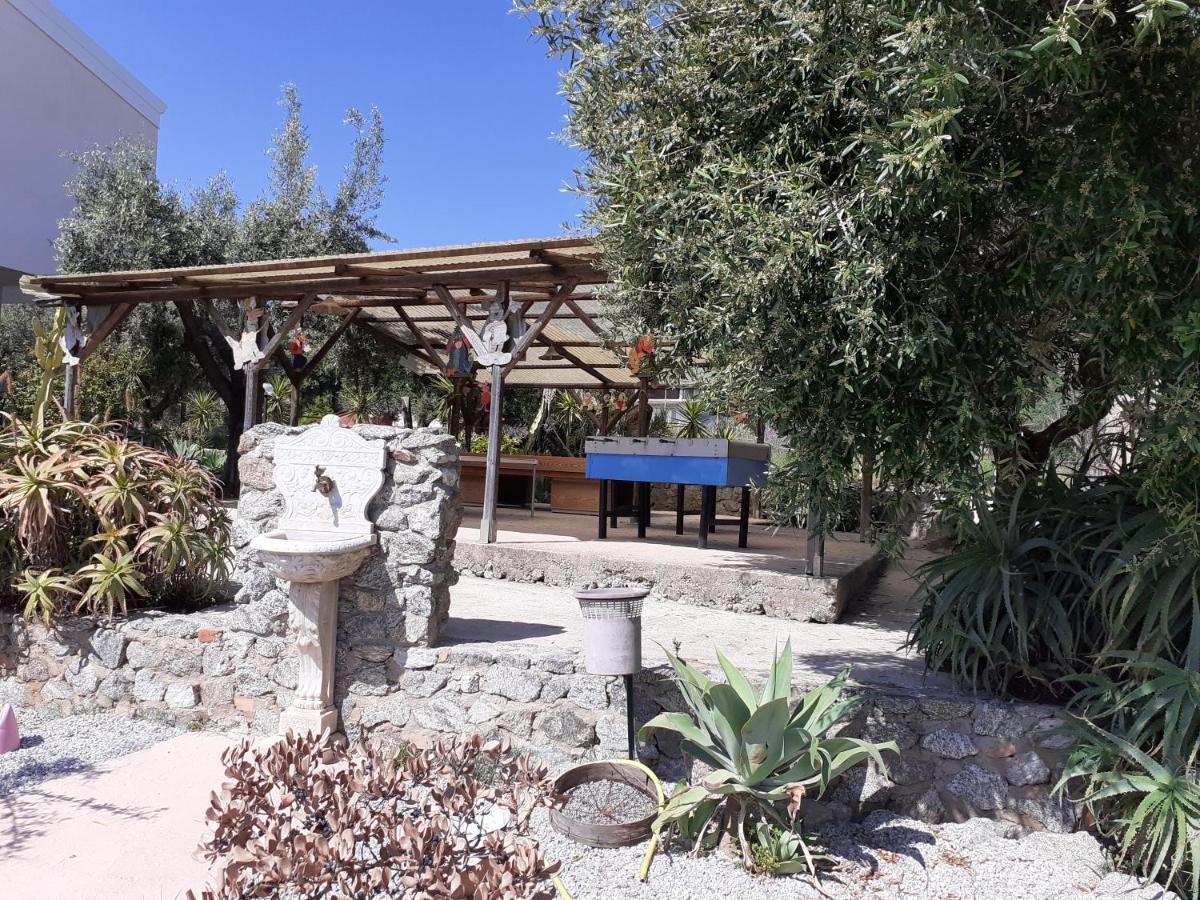 קאפו ואטיצ'אנו Agriturismo Heaven מראה חיצוני תמונה